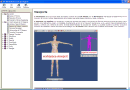 Referencia de Usuario para Virtual Fashion Works