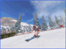 Wintersport Pro 2006 v1.01