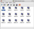 Remote Security Access v1.0