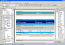 FastReport v5.2
