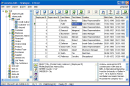 xBaseView Database Explorer v11.0