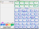 Carmen Workflow Systems Pro v3.1