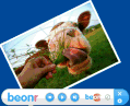 beonr v3.0