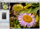 LightZone v1.5.2