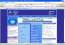 Internet Explorer v7.0.5730 Final (2003 SP1)