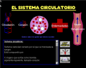 El Sistema Circulatorio v2.4