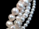 Perlas Cultivadas. Clasificación