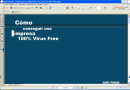 Cómo conseguir una Empresa 100% Virus Free