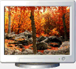 3D Autumn Woods v1.0