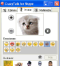 CrazyTalk for Skype