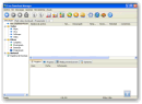 Free Download Manager Lite v3.9.7