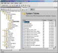 Microsoft SQL Server Management Studio Express v1.00.0080