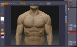 Modelado del torso masculino