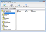 Riverbit Registry Cleaner v2.0