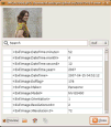 Phatch v0.1.6