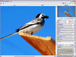 AKVIS Magnifier v12.1