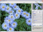 AKVIS Magnifier v12.1