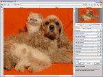 AKVIS ArtWork v14.5